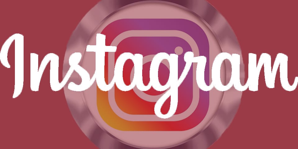 instagram profil bilgileri